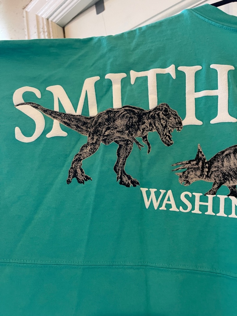 SPIRIT JERSEY Smithsonian Teal Long Sleeve Graphic Tee Washington DC Dinosaur - Picture 2 of 8